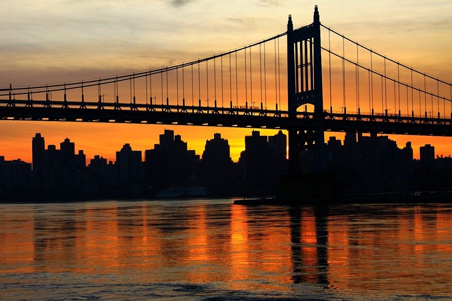 Nam liber tempor cum